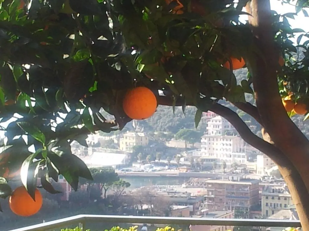 B&B Creuza De Ma Recco Italy